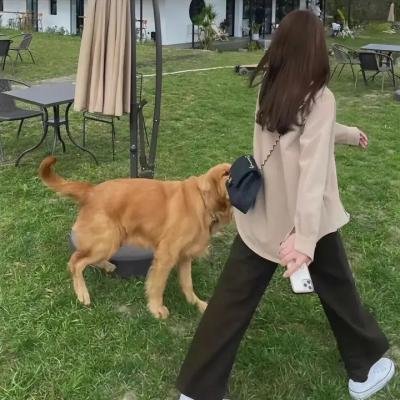 这个少侠有点冷